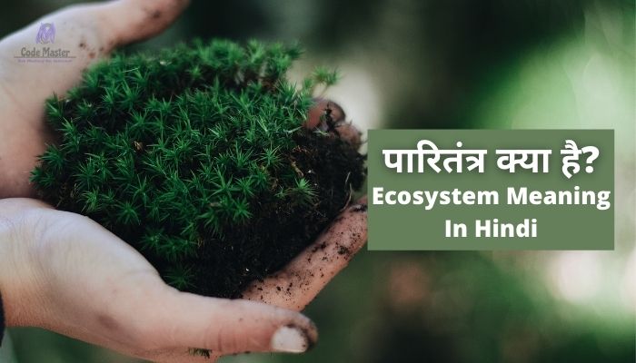 पारितंत्र क्या है? | Ecosystem Meaning In Hindi